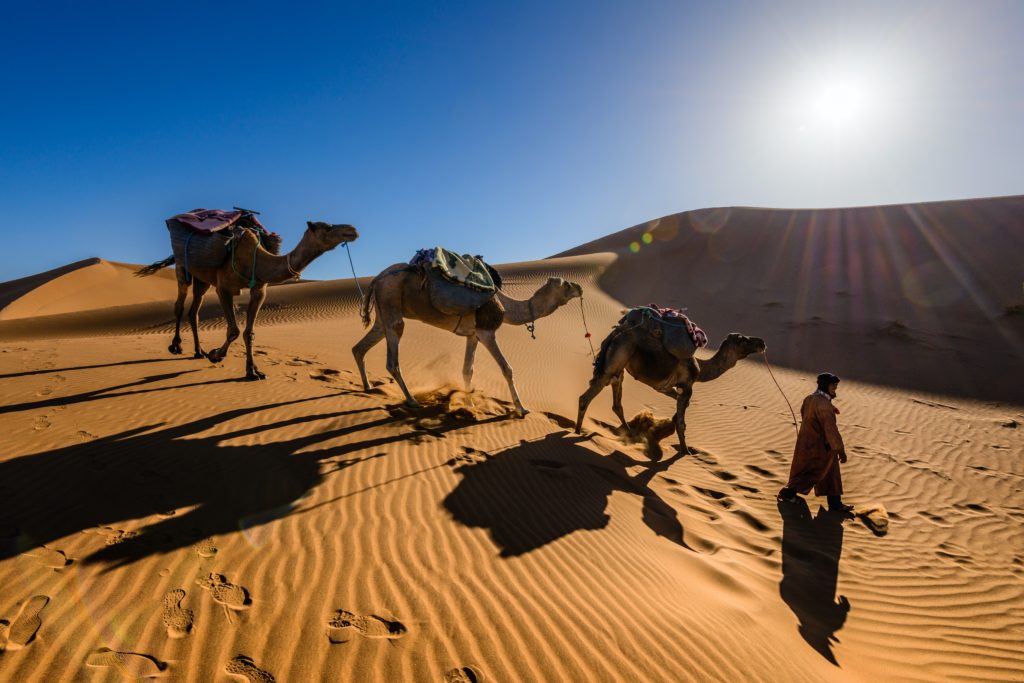 randonnee chameliere avec Algérie voyage
